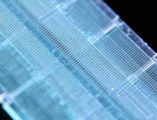 传感器上涂覆聚合物涂层